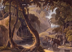 Scene i Sitsikamma - elefanter med fiskehejre ved en pool, fra "African Scenery and Animals", 1804-05